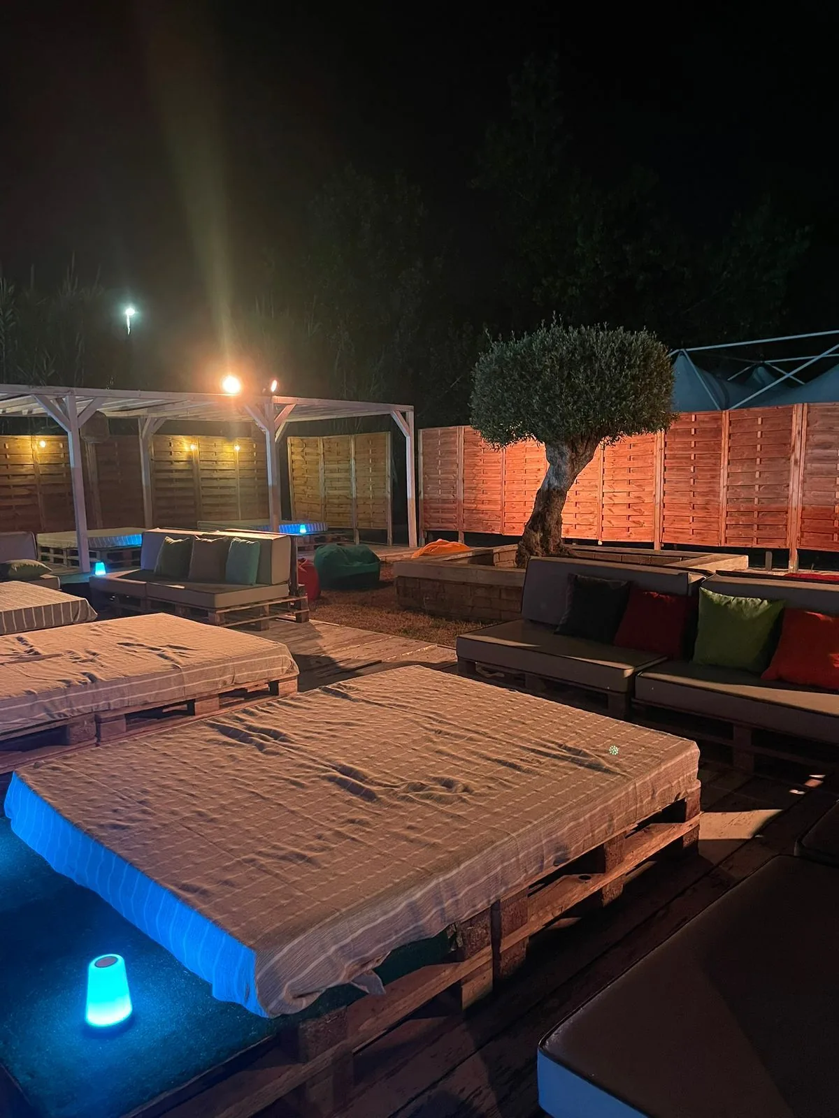L'Ulivo illuminato di sera, lounge e dj set nello spazio eventi del Country Club Circeo